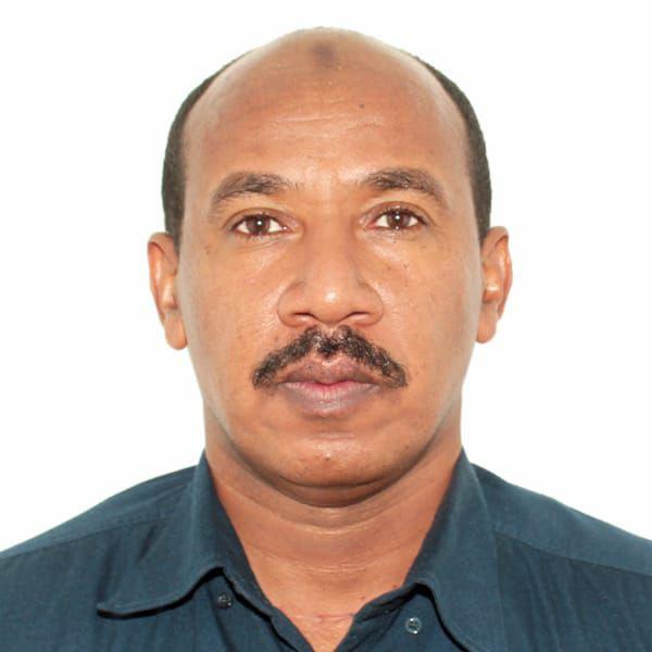 Awadelgeed Mohamed Ibrahim