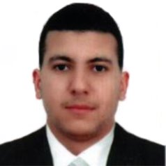 Ahmed Refaat Abdelaziz Amer