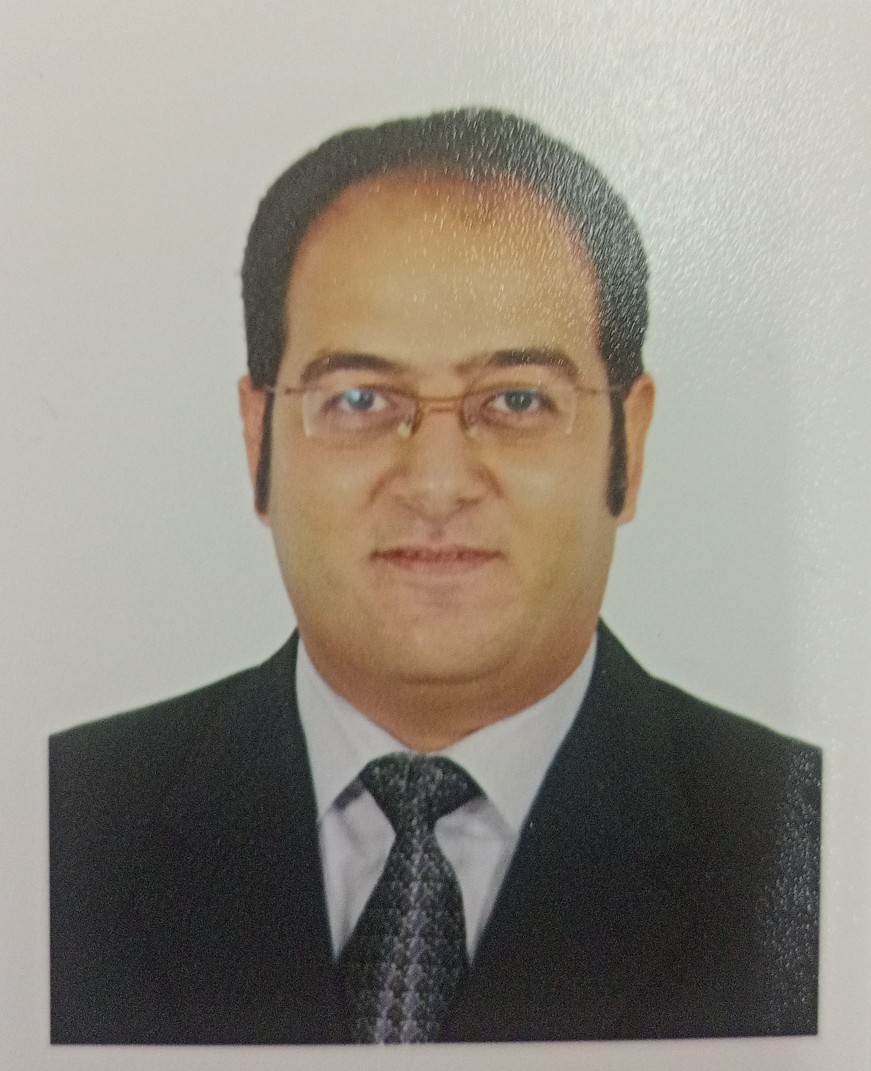 Hany Ishak Girgis