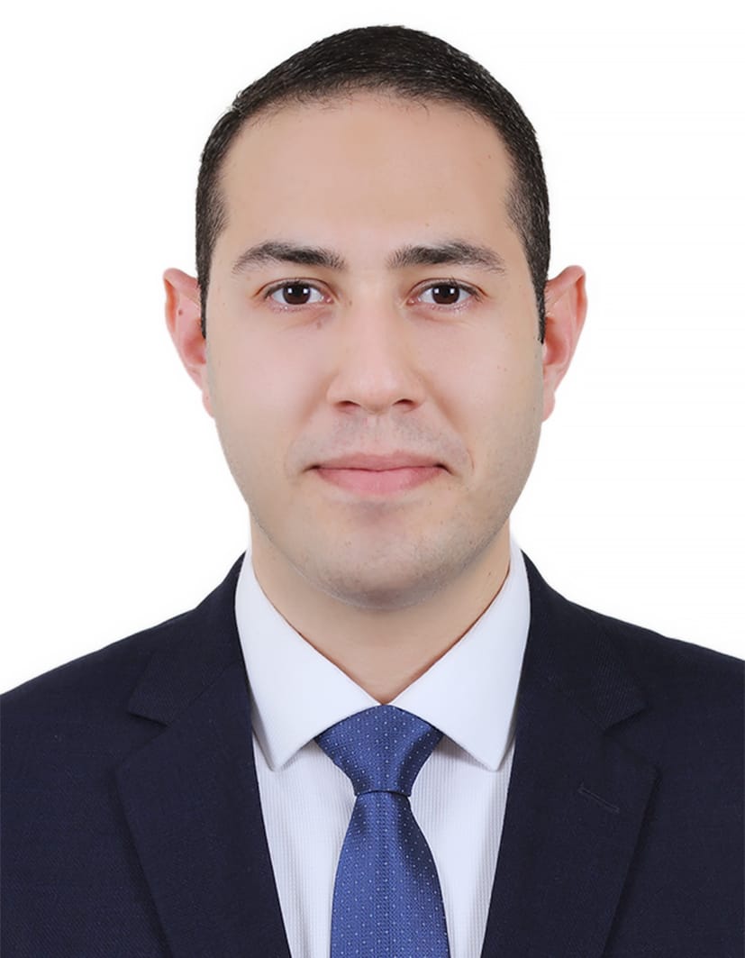 Ahmed Samir Tantawi
