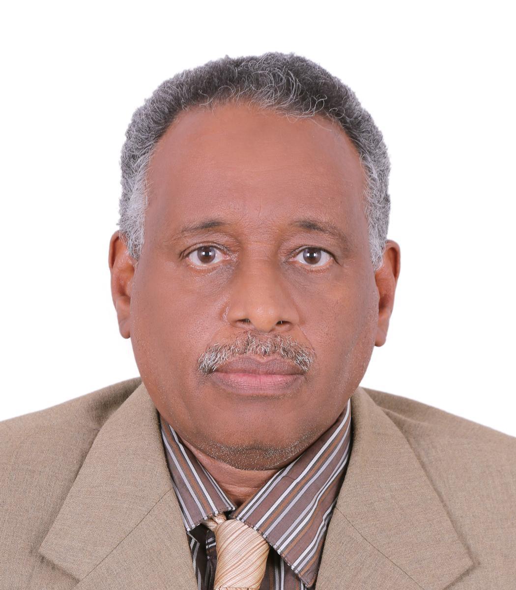 Yasir Ahmed Abdalla Mohamed