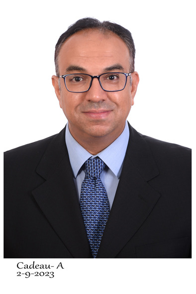 Shawkat Hassan Ismail