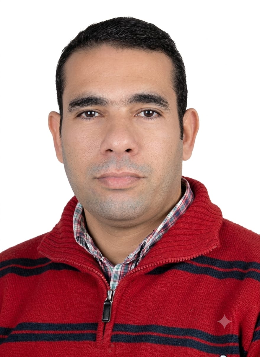 Mohamed  Hafez Elhefnawy
